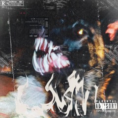 Shadow PT 1 Freestyle Kobe
