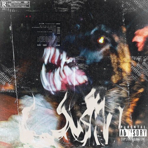 Shadow PT 1 Freestyle Kobe