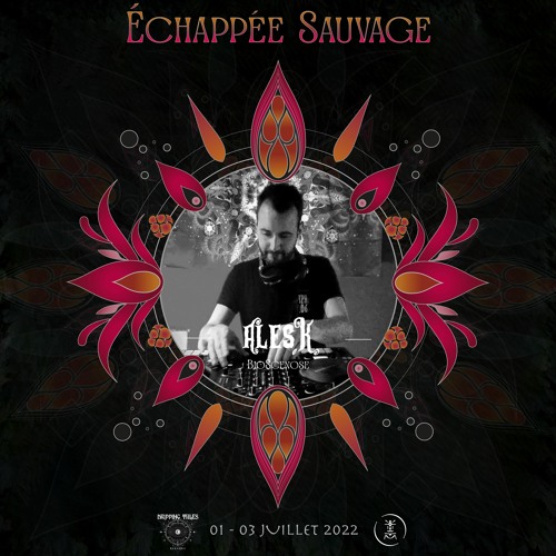 DJ Set @ Echappée Sauvage - Alternative Stage #1 (Psygressive)