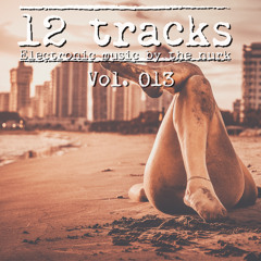 The Nurk Presents 12 Tracks Vol. 013