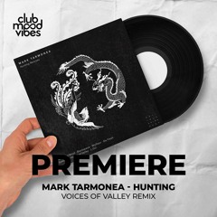 PREMIERE: Mark Tarmonea ─ Hunting (Voices Of Valley Remix) [Bull In A China Shop]