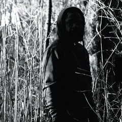 ballad of mr. woods