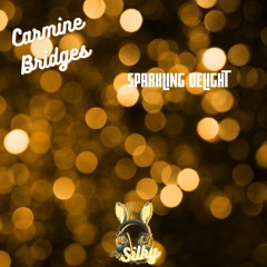 Carmine Bridges - Sparkling Delight (Mr Silky's LoFi Beats)