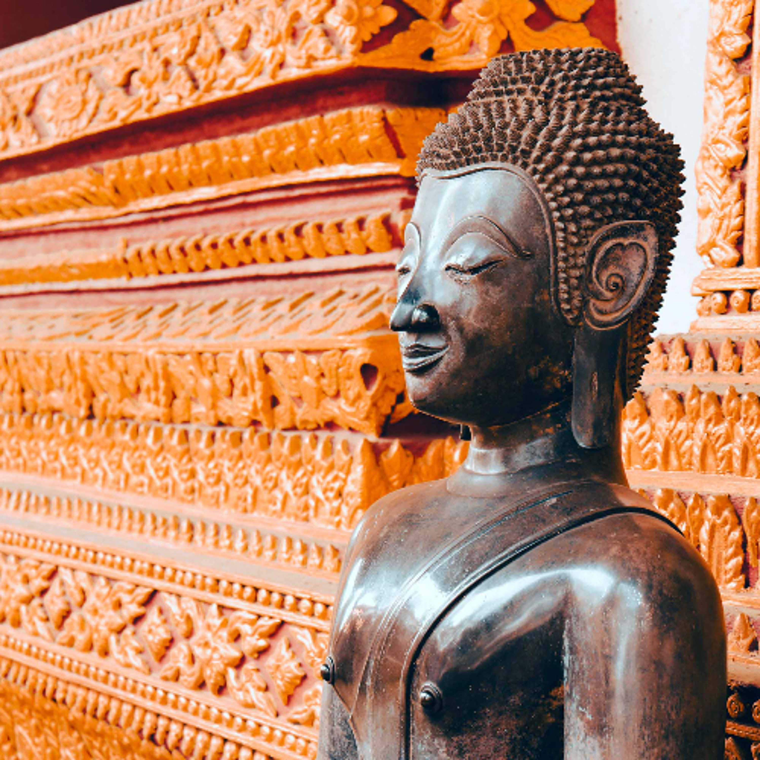 Associazione Kalyanamitta: Meditazione, Mindfulness, Buddhismo