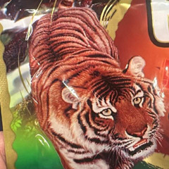 HD WUY - PHIA SAU EM 2025 - EDWIN X KIPP