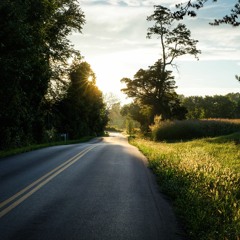 The Logic Of The Gun