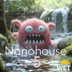 Wet - Nanohouse Five - The Dive