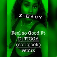 Z-Baby  Ft DJ TIGGA Feel So Good (SoFloJook)