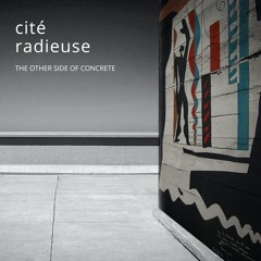 Fuzzy Logic Arfaaz Kagalwala I Am A Visual Man