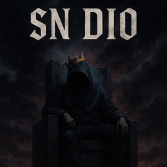 SN DIO (cap1)