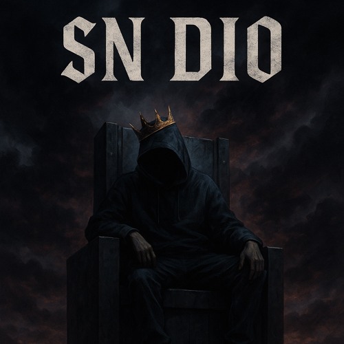 SN DIO (cap1)