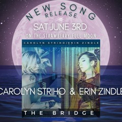 The Bridge M4 01