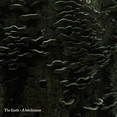 THE EARTH - A MEDITATION