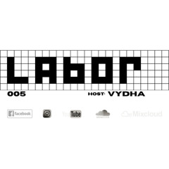 Labor D-Light (VYDHA) - 005 /19.05.25/ (part2)