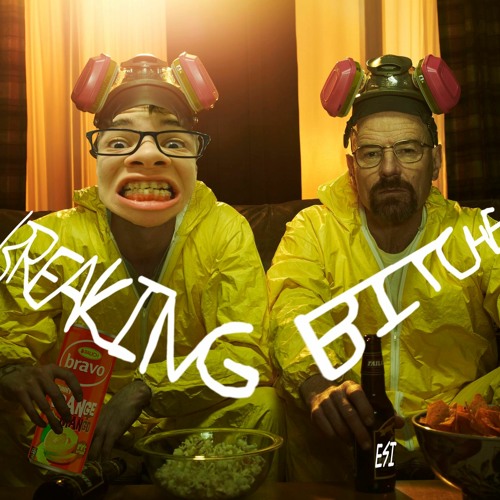 Breaking Bitches
