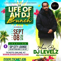LIFE OF AH DJ BRUNCH 2024|LIVE AUDO|MIXED BY DJLEVELZ420SOUND