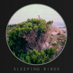 Sleeping Birds