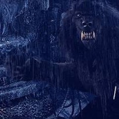 Wolf Lake Freestyle.4