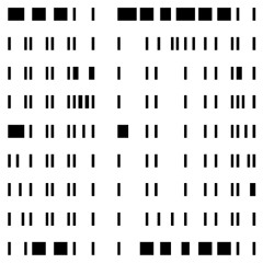 skip_2024