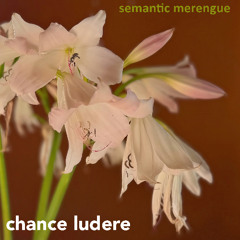 Semantic Merengue