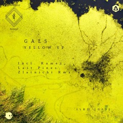 💥 premiere: Gals - Yellow (Original Mix) [Intelligent Sound]