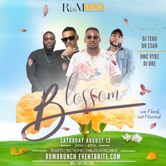 DJ TERO X DR ESAN X DMC VYBZ LIVE AT RUM BRUNCH DALLAS AUG 2023