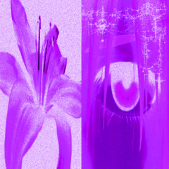 TWENTYTHREE - S_Ø_F_I_A.mp3 (SLOWED)