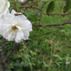 Feeling of belonging ft AJ(prod by Atlay)