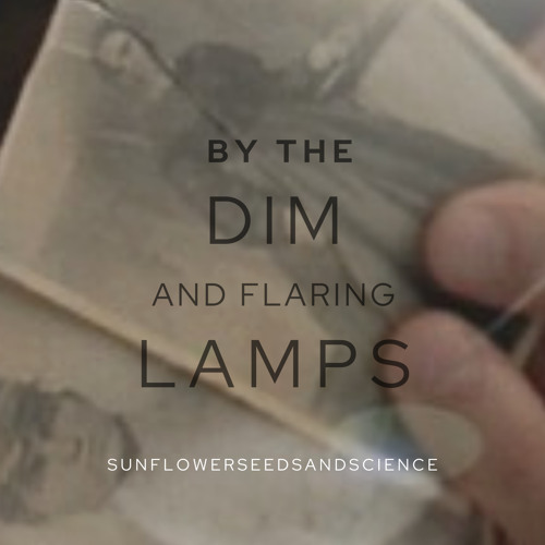 XF: By the Dim and Flaring Lamps - Chapter 18 by sunflowerseedsandscience - MA