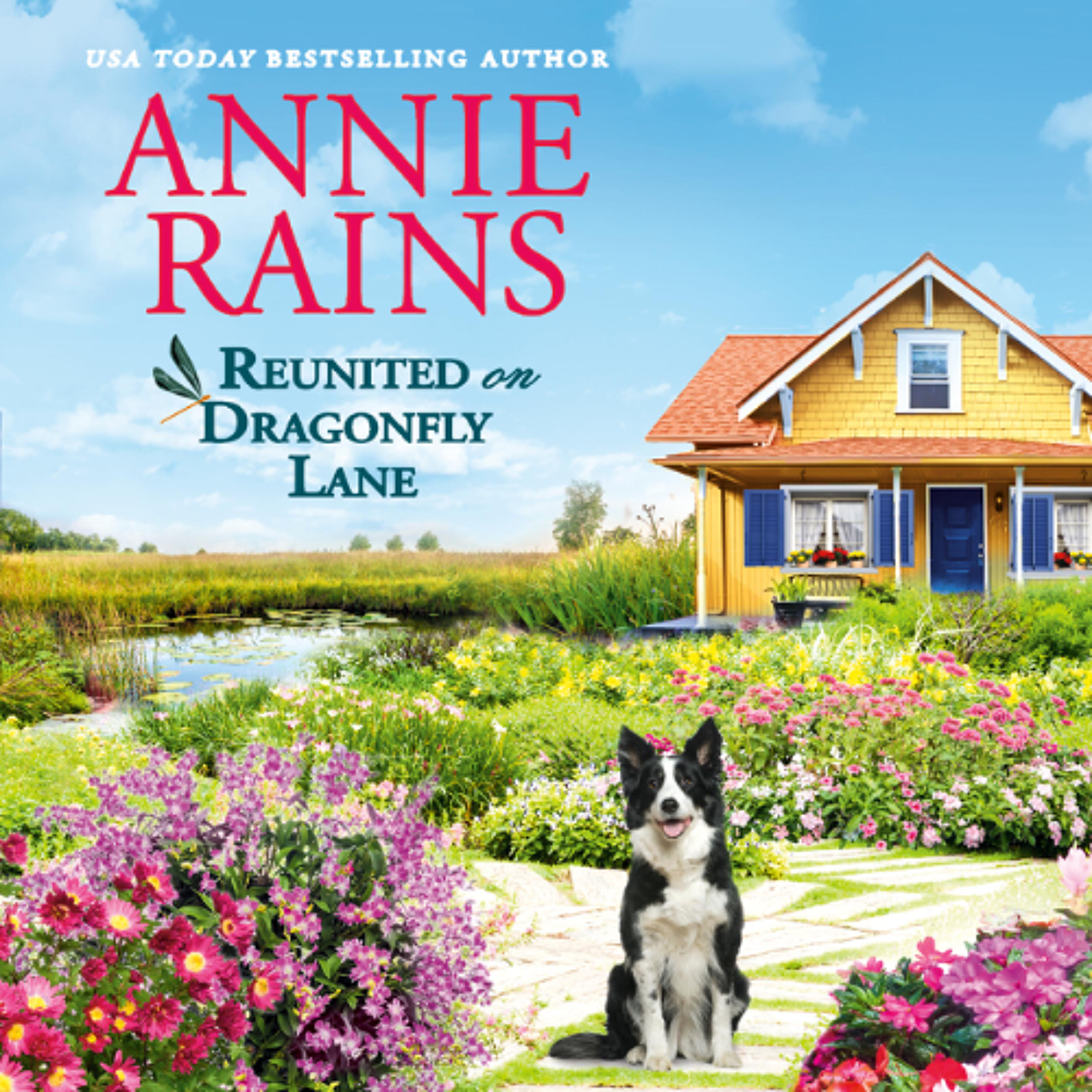 Reunited on Dragonfly Lane by Annie Rains read by Vanessa Johansson