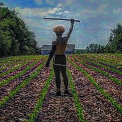 A SPARTAN-WARRIOR-KING'S WALK(PEACEFUL|KINGDOM|SPARTA|MUSIC)