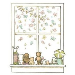 Life Through The Window