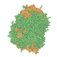 Florentino Primera - Bonus Track