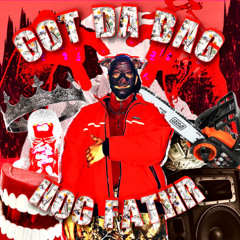 gotdabag - prod svgntr x hog