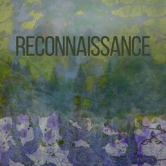 RECONNAISSANCE
