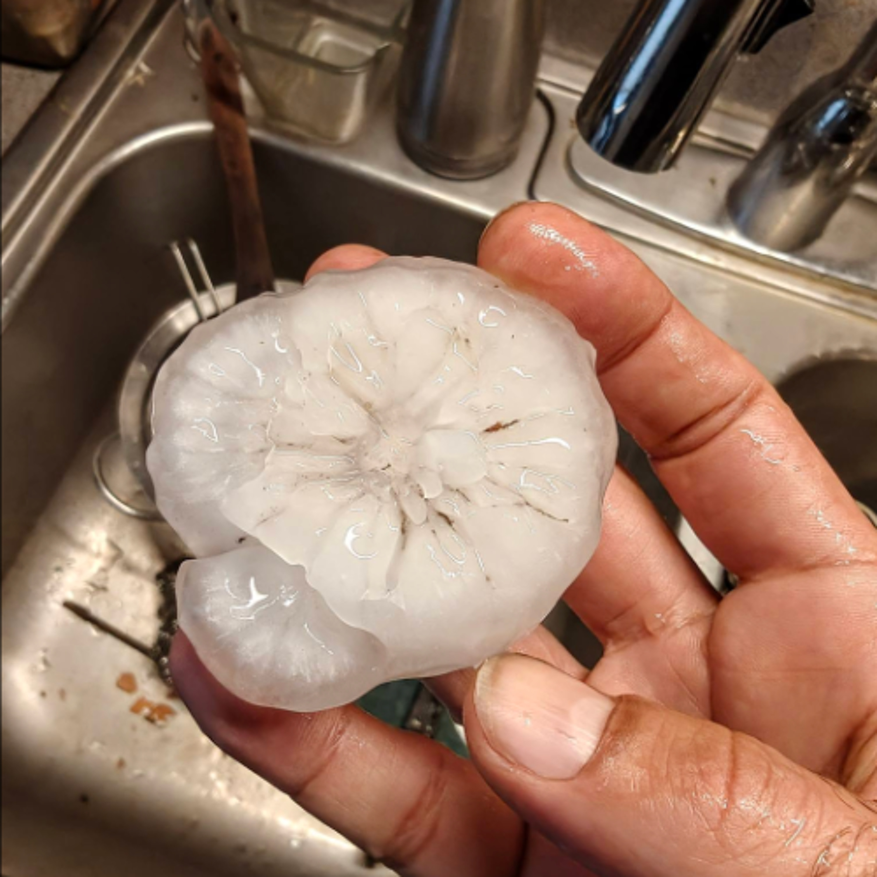 Andy Moore Project Hail Mary