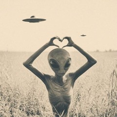 "DJ Lauras".:P.mini.steps.exe