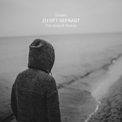 Zu oft gefragt (Tim Kneidl Remix)
