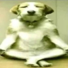 Dirty prada   prod. d_999____, coldlazer