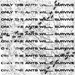 ONLY THE ANTS WILL SURVIVE, Ambient live session