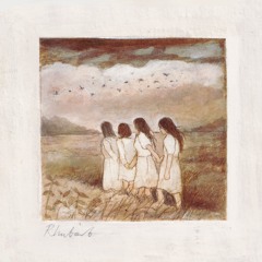 Murmurations - Rhubarb