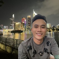 VIỆTMIX 2K25 - KỂ TỪ NGÀY ĐỔ VỠ - LAM RMX