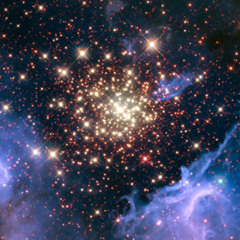 sSTARDUSTt.exe (demo)