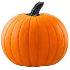 409. pumpkin nights (biggle-harding).mp3