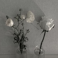 Lei (feat. Siz, 김재찬)