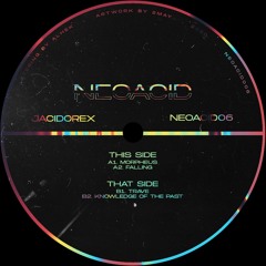 Jacidorex - Knowledge Of The Past [NEOACID06]