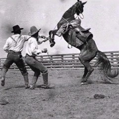 Buckskin Stallion Blues (Townes Van Zandt Cover)