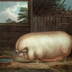 Свинья и Дементий