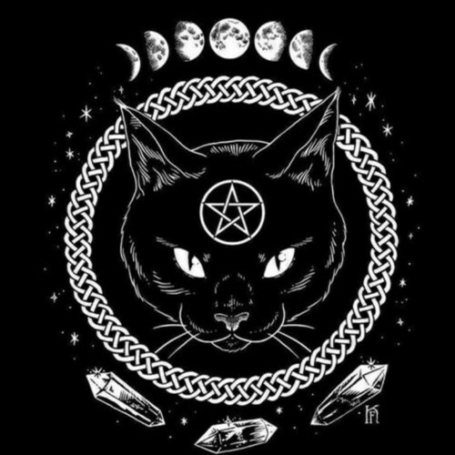 Black Cat  -Live Rec