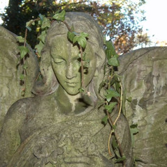 talk down  **MEOJI MIXXX